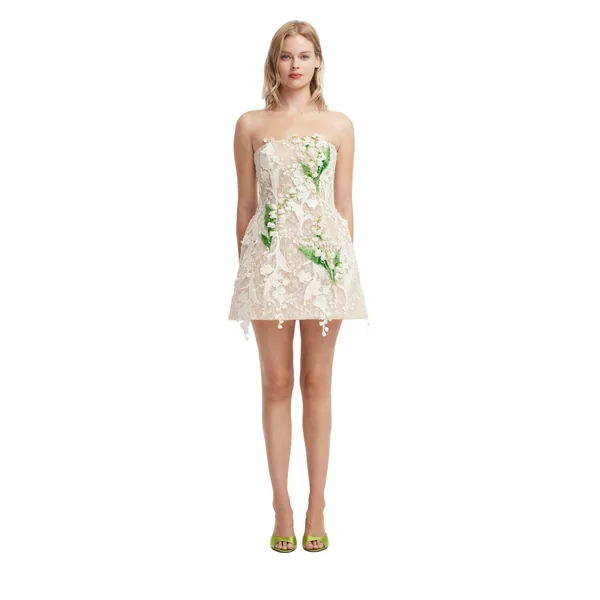 Roselle Embellished Lace Bustier Mini Dress
