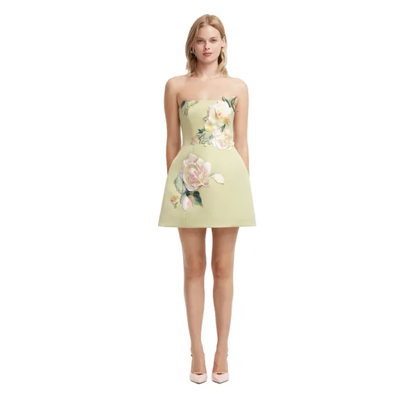 Roselle Embroidered Bustier Mini Dress