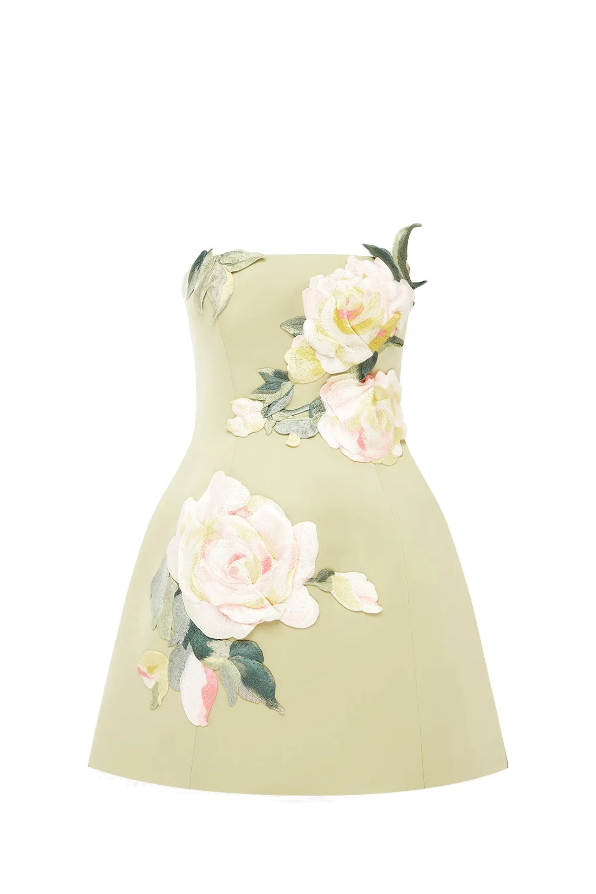 Roselle Embroidered Bustier Mini Dress in Pistachio Rose Print