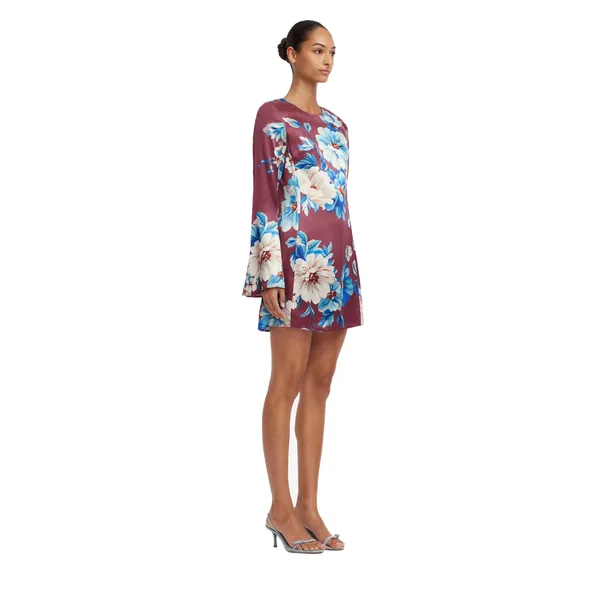 Cosmos Print
