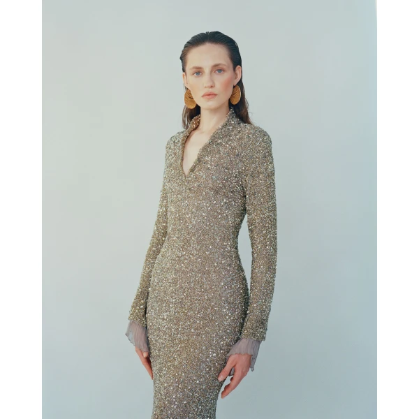 Long-Sleeved Embroidered Gown With Structured Collar