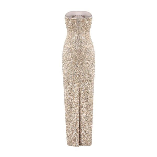 metallic embroidered tulle dress