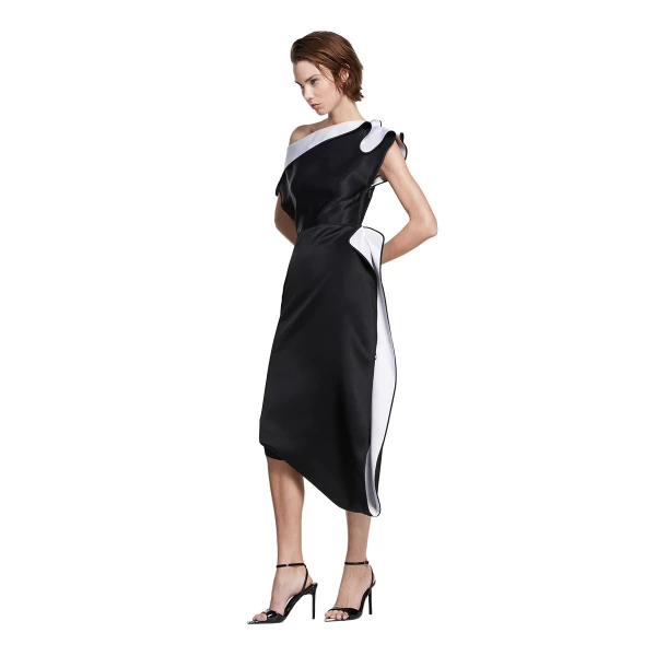 Maticevski Invoke Dress