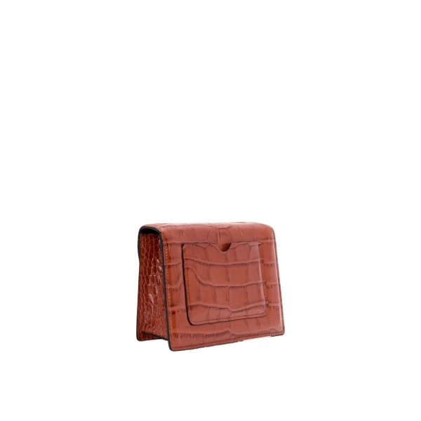 designer crossbody bag