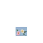 Oscar de la Renta Poppy-Printed Card Case