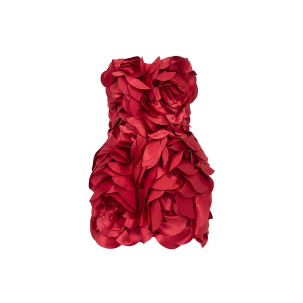 Saiid Kobeisy Floral Mini Dress in Space Cherry