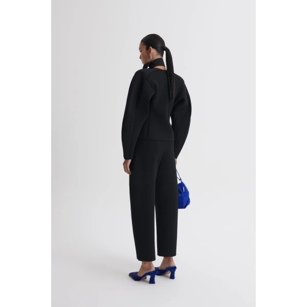 Scanlan Theodore trousers