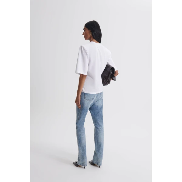 Scanlan Theodore top