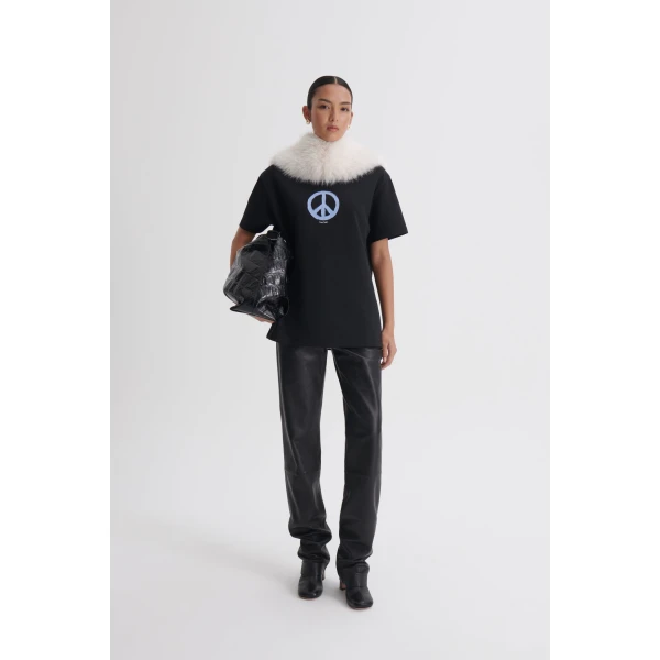 Scanlan Theodore top