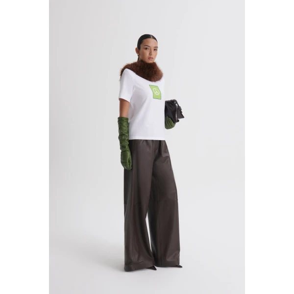 Scanlan Theodore top
