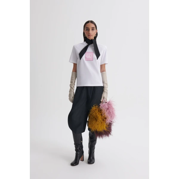 Scanlan Theodore top