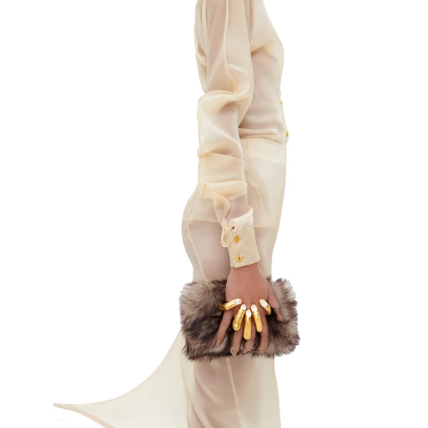 schiaparelli clutch bags