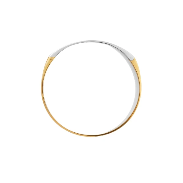 Signature collar in Silver / Gold - Image 6