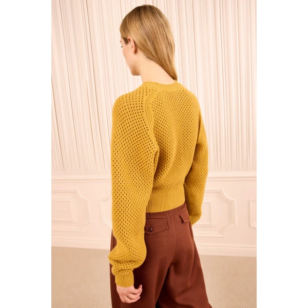 ulla johnson turmeric