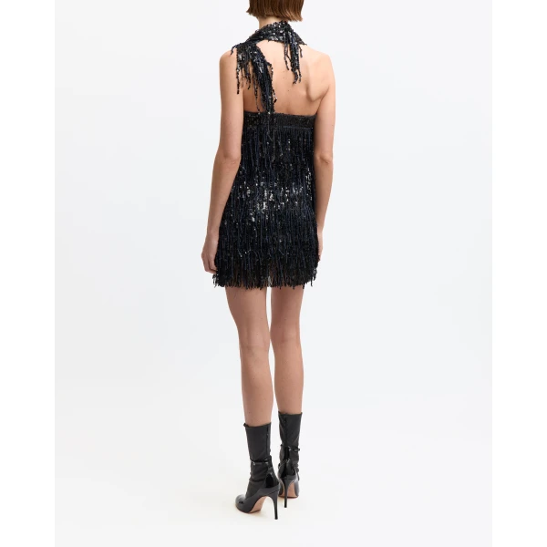 Fringe Sequin dress