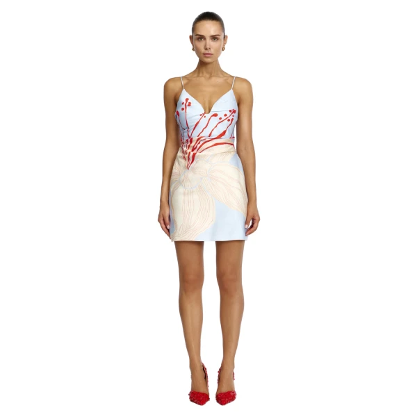 Dunonie Mini Dress in Sky Bloom