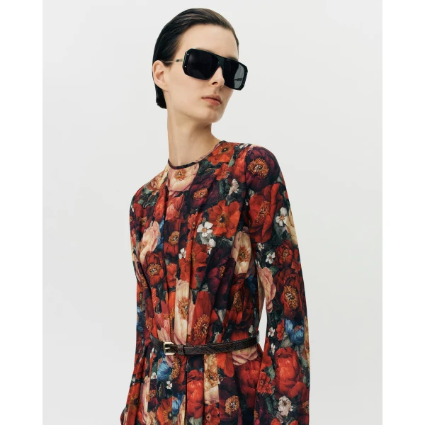Adam Lippes Paravacini Dress in Printed Silk Crepe De Chine, Ruby Floral