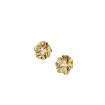 Aje Sierra Stud in Gold/Pearl | Earrings | Luxury Shoes 