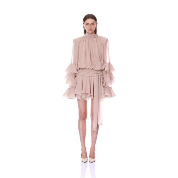 Chiffon Long Sleeve Mini Dress