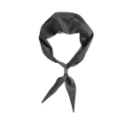 Brunello Cucinelli Organza necktie with monili in Dark Grey | Accessories | Luxury Shoes 