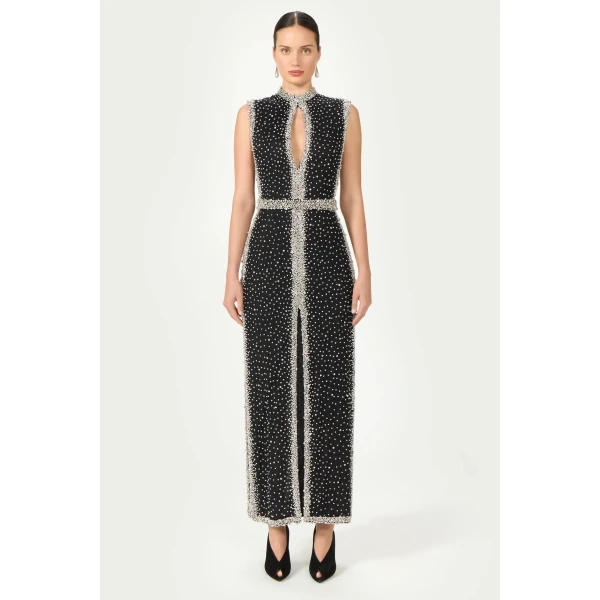 Costarellos Belina Embroidered Crystals Column Gown in Black | Evening Gowns | Luxury Shoes 