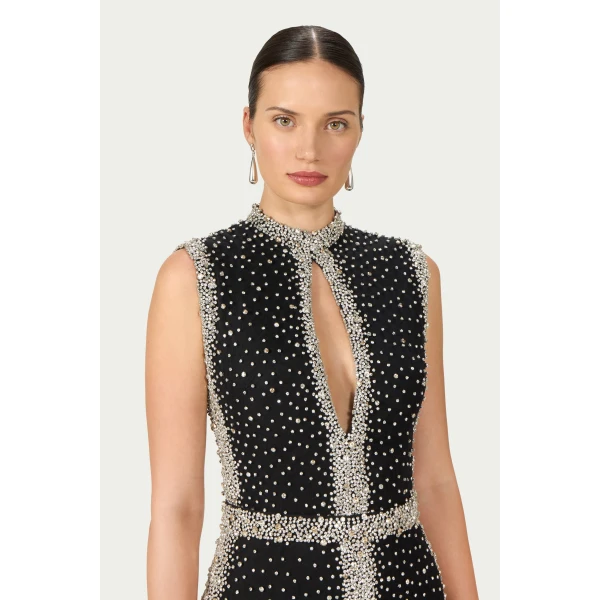 Costarellos Belina Embroidered Crystals Column Gown in Black | Evening Gowns | Luxury Shoes 