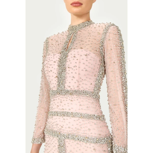 Costarellos Mellorie Embroidered Crystals Gown in Light Rose | Evening Gowns | Luxury Shoes 