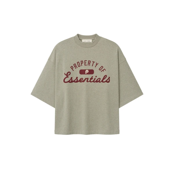 Essentials Phillies Merch Tee in Seal Heather