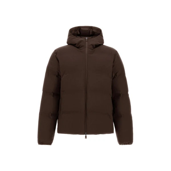 Brown Jacket in New Impact