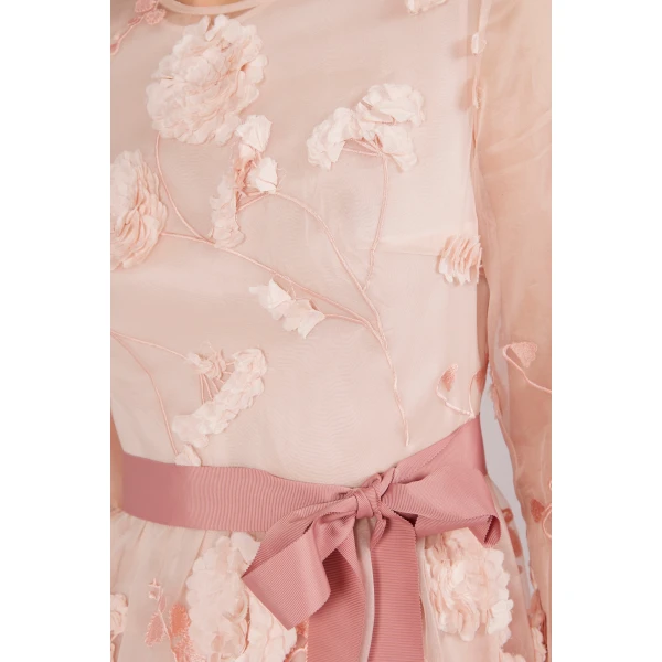Huishan Zhang Delphi Gown in Pink Flower Embroidered Organza | Evening Gowns | Luxury Shoes 