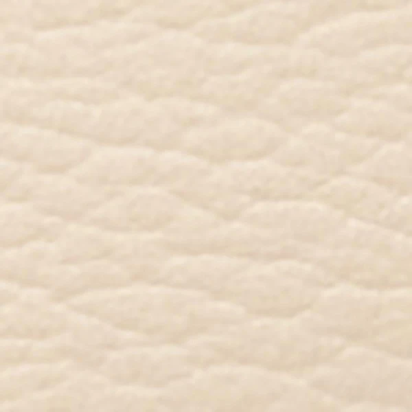 Isabel Marant Naoko Bag in Grained Leather, Light Beige | Shoulder & Crossbody Bags | Luxury Shoes 