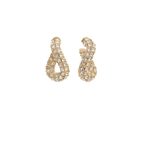Isabel Marant Shiny Funky Earrings in Transparent | Women | Luxury Shoes 