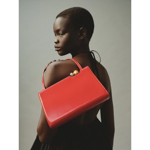 Jacquemus shoulder and crossbody bags
