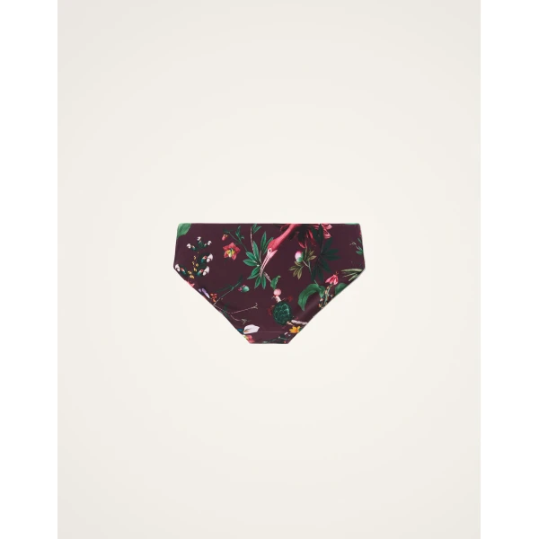 La DoubleJ Boy Brief in Zooflora Mini Burgundy, view 4