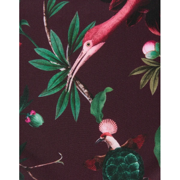 La DoubleJ Boy Brief in Zooflora Mini Burgundy, view 5