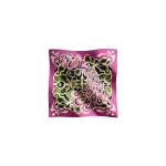 La DoubleJ Foulard 90 in Phoenix Pink at Luxury Shoes 