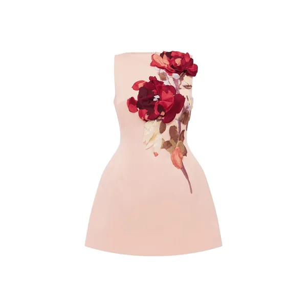 Ali Embroidered Boat Neck Mini Dress in Reverie Print in Nectar