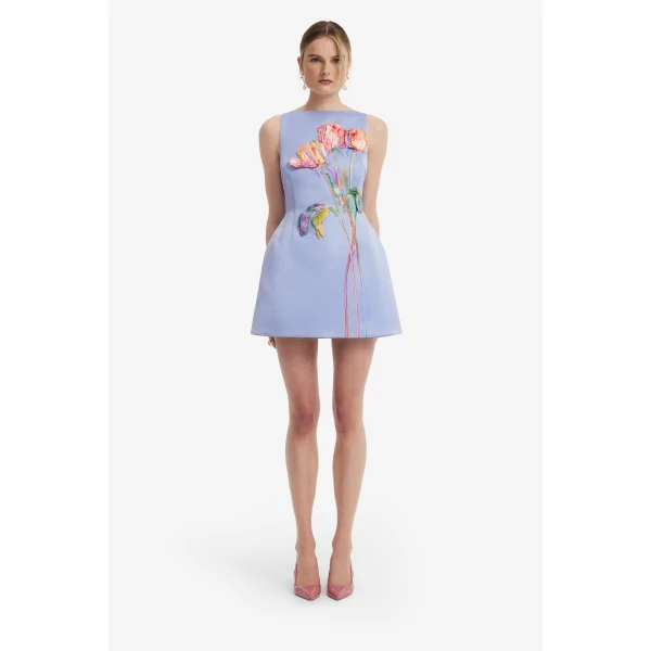 Ali Embroidered Boat Neck Mini Dress