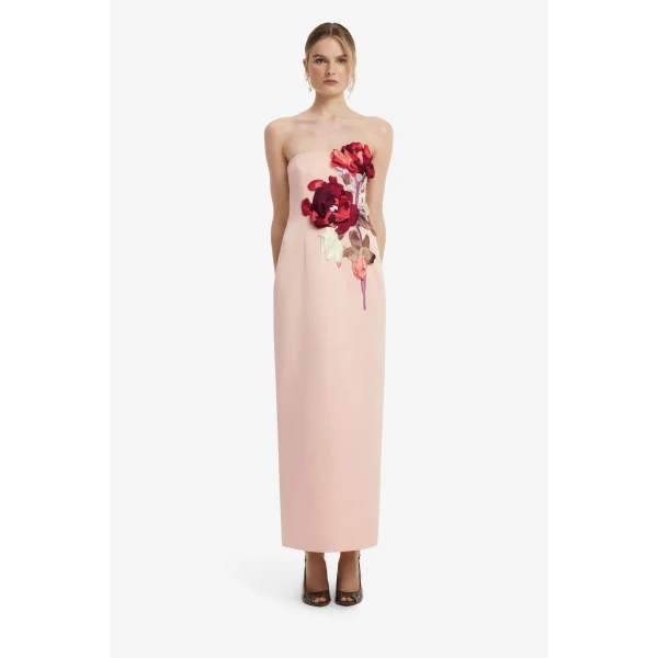 Rayna Embroidered Bustier Maxi Dress