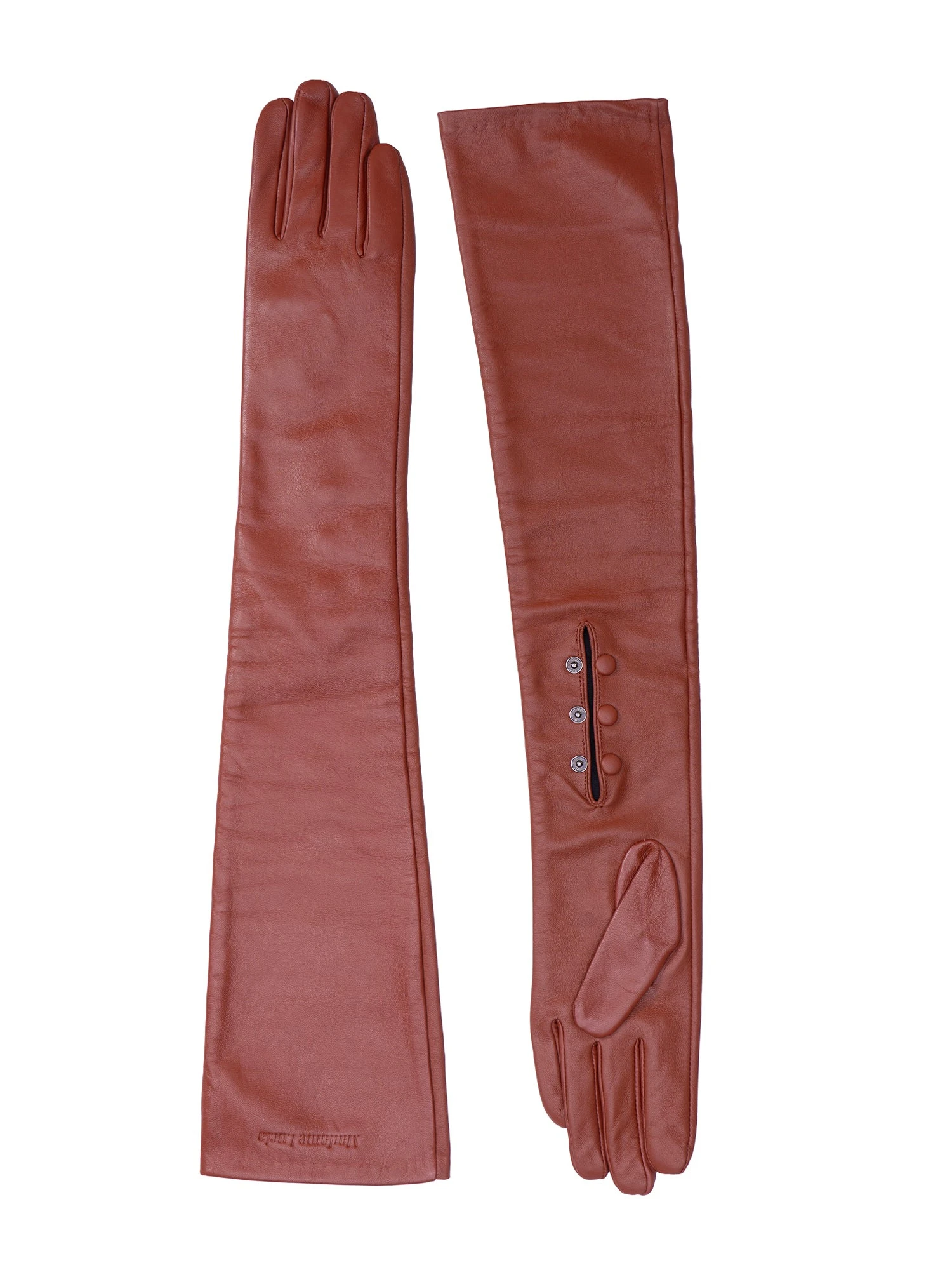 Maria Lucia Hohan Leandra Long Leather Gloves in Fizz Maria Lucia Hohan Leandra Long Leather Gloves in Fizz | Gloves | Luxury Shoes