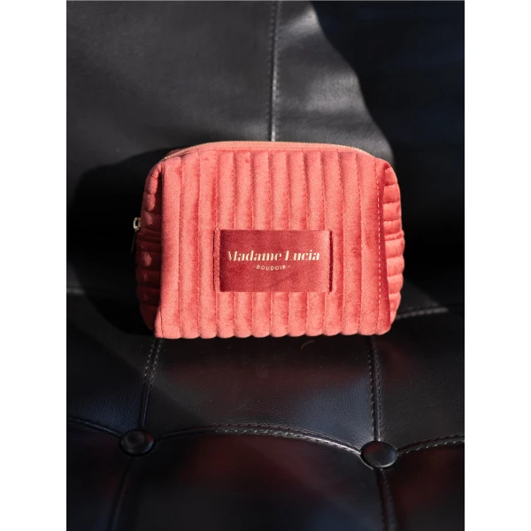 Maria Lucia Hohan Velvet Cosmetic Bag in Caramel | Wallets & Purses | Luxury Shoes 