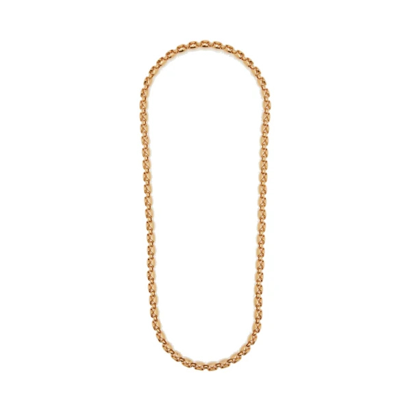 Aquila Long Link Necklace in Bronze