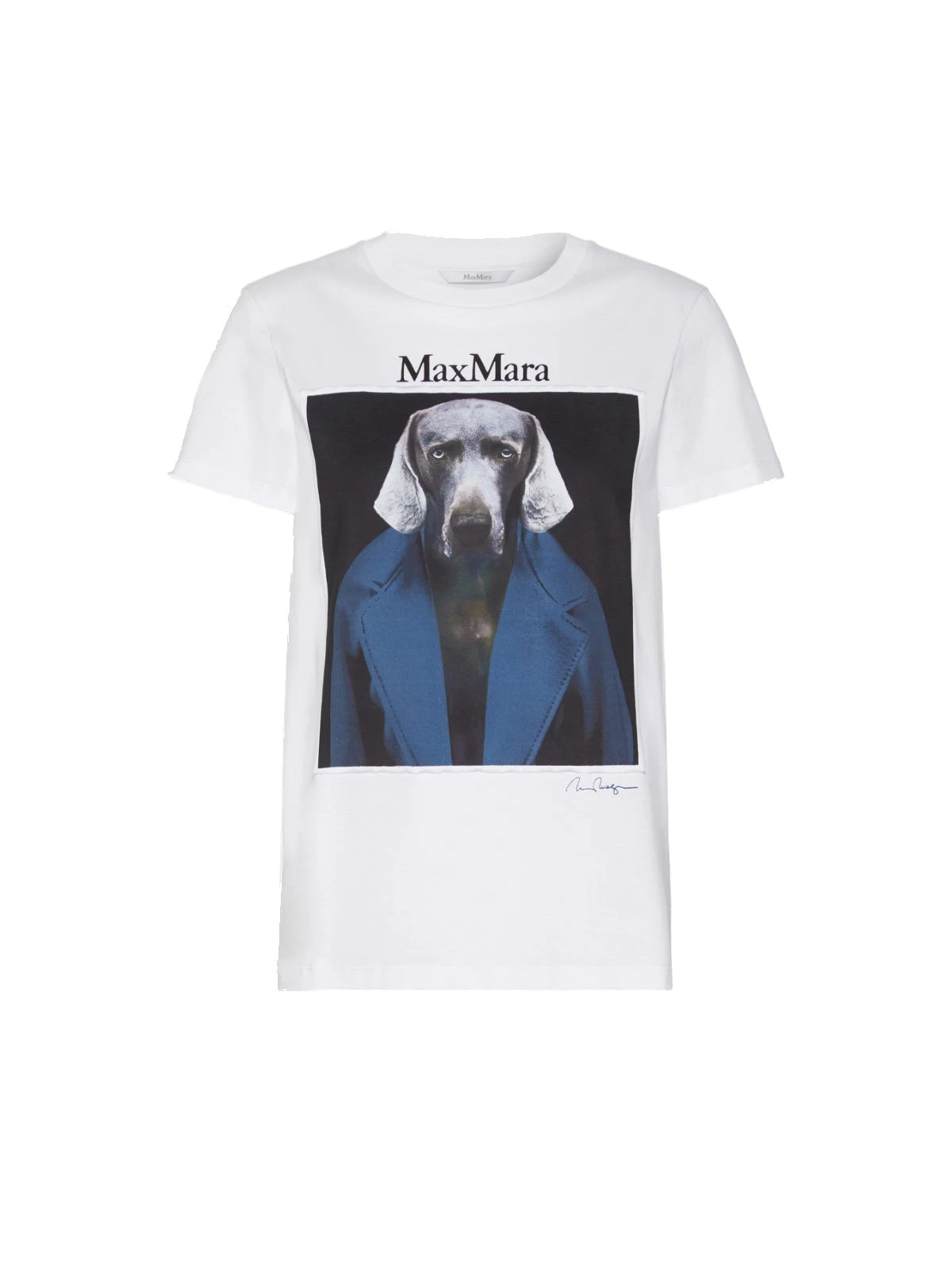 Max Mara Calca William Wegman Print T-Shirt in White Max Mara Calca William Wegman Print T-Shirt in White | T-shirts | Luxury Shoes