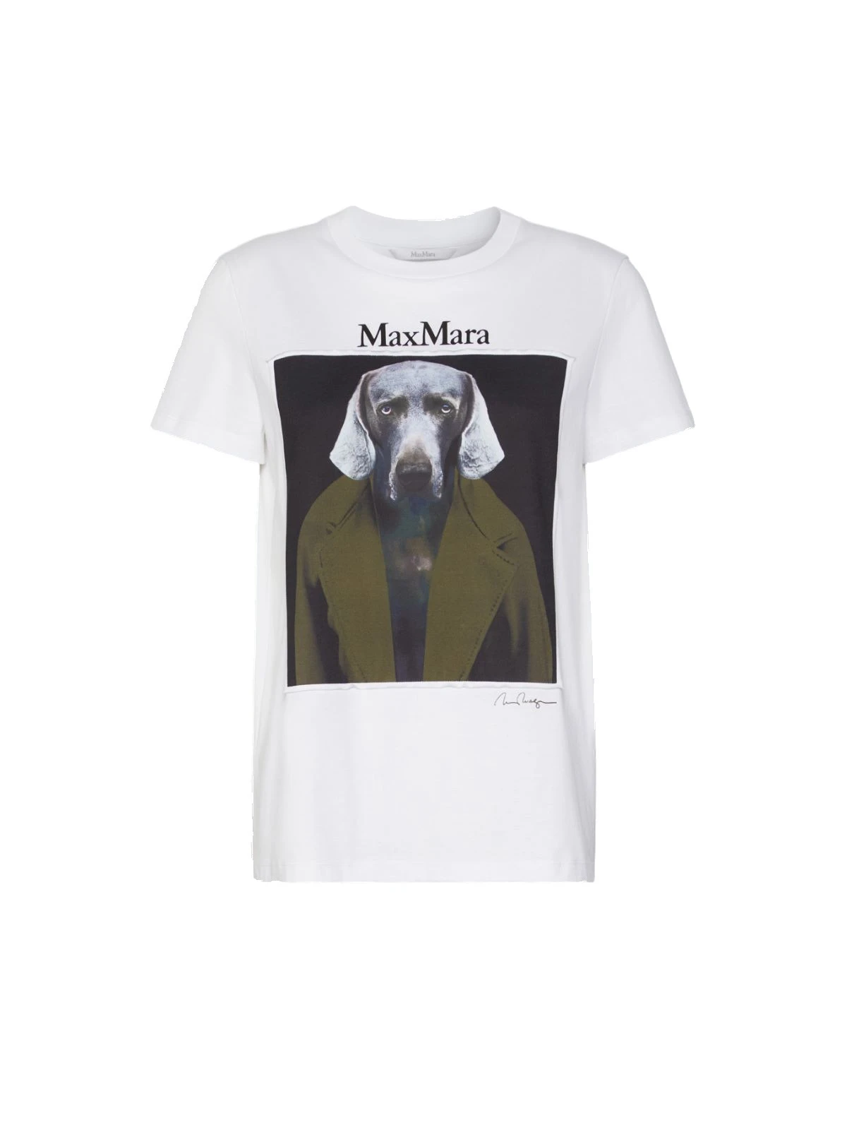 Max Mara Calca William Wegman Print T-Shirt in White Style 2 Max Mara Calca William Wegman Print T-Shirt in White Style 2 | T-shirts | Luxury Shoes