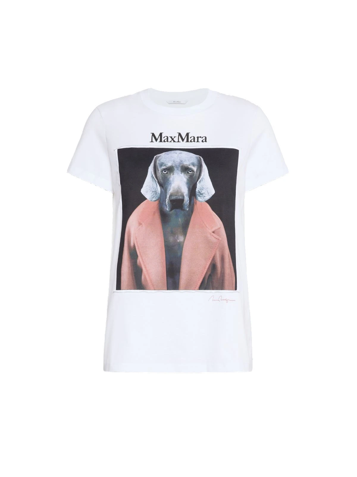 Max Mara Calca William Wegman Print T-Shirt in White Style 3 Max Mara Calca William Wegman Print T-Shirt in White Style 3 | T-shirts | Luxury Shoes