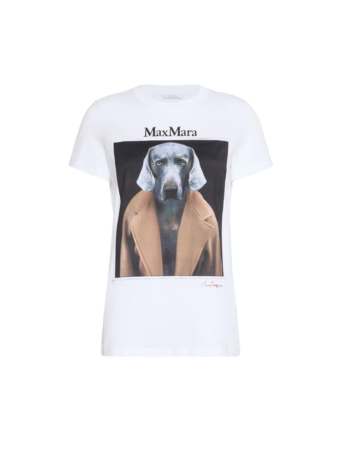 Max Mara Calca William Wegman Print T-Shirt in White Style 4 Max Mara Calca William Wegman Print T-Shirt in White Style 4 | T-shirts | Luxury Shoes
