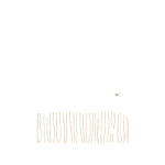 Max Mara Cashmere Tartan Jacquard Scarf in Camel | Scarves | Luxury Shoes 