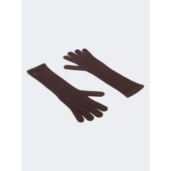Max Mara Jock Long Cashmere Gloves in Brown | Gloves | Luxury Shoes 