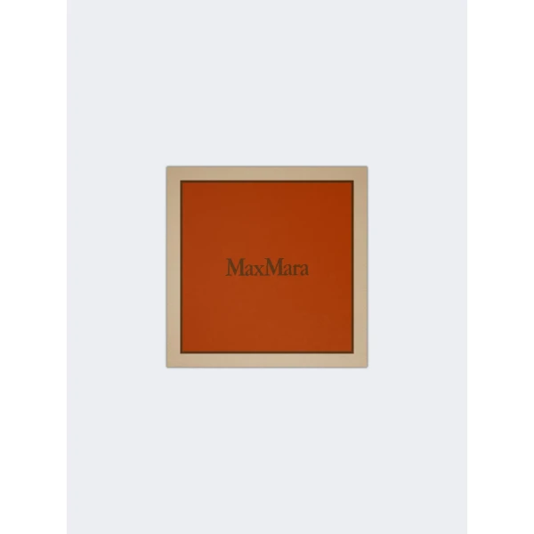 Max Mara Lampara Printed Silk Pocket Square in Orange | Scarves | Luxury Shoes 