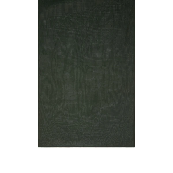 Max Mara Rose Silk-Blend Shawl in Moss Green | Scarves | Luxury Shoes 